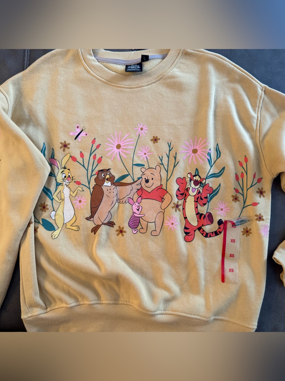 Winnie the Pooh Beige ladies Sweatshirt with Character Print